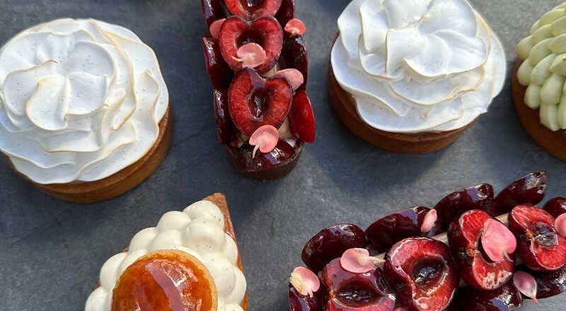 Profesyonel Tart Eğitimi