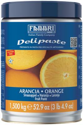 Fabbri Delipaste Dondurma Konsantresi Portakal Aromalı - 2