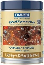 Fabbri Delipaste Dondurma Konsantresi Karamel Aromalı - 2