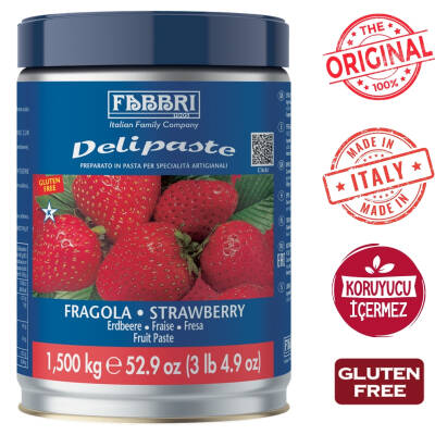 Fabbri Delipaste Dondurma Konsantresi Çilek Aromalı - 1