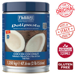 Fabbri Delipaste Dondurma Konsantresi Hindistan Cevizi Aromalı 