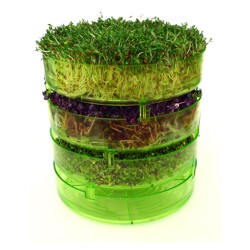 Filizlendirme Rafları - GEO