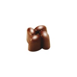 Pavoni Innovation Polikarbon Pralin Çikolata Kalıbı Çiçek PC12 - PAVONI