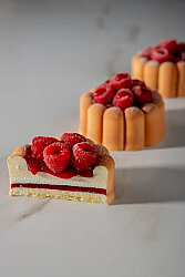 Pavoni Silikon Kalıp Charme PX43129 - 4