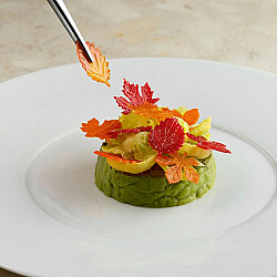 Pavoni Silikon Tuil Kalıbı Foliage & Yapraklar - 4