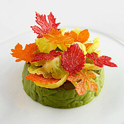 Pavoni Silikon Tuil Kalıbı Foliage & Yapraklar - 5