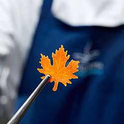 Pavoni Silikon Tuil Kalıbı Foliage & Yapraklar - 7