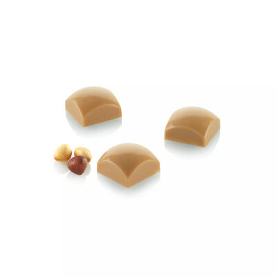 Silikomart Domus 01 P Polikarbon Çikolata Kalıbı - 1