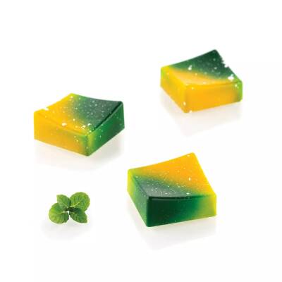 Silikomart Onda P Polikarbon Çikolata Kalıbı - 1