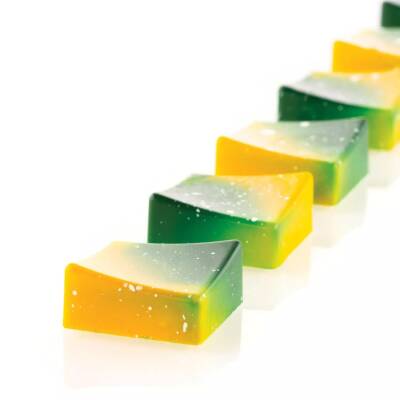 Silikomart Onda P Polikarbon Çikolata Kalıbı - 7