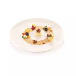 Silikomart Silikon Dekor & Tuil Kalıbı Selva - 2