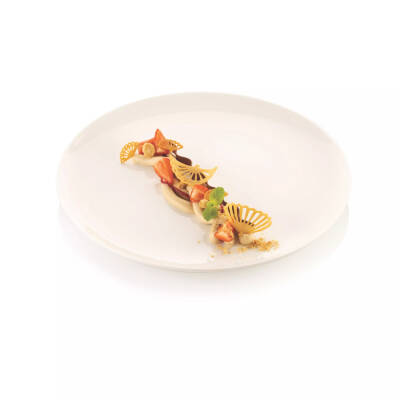 Silikomart Silikon Dekor & Tuil Kalıbı Ventaglio - 2