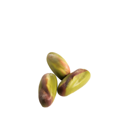 Silikon Pasta ve Kek Kalıbı - 3D Antep Fıstığı - 4