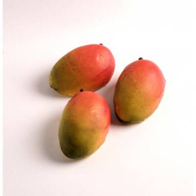 Silikon Pasta ve Kek Kalıbı - 3D Mango - 2