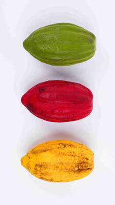 Silikon Pasta ve Kek Kalıbı - 3D Kakao Meyvesi - 2