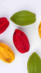 Silikon Pasta ve Kek Kalıbı - 3D Kakao Meyvesi - 3