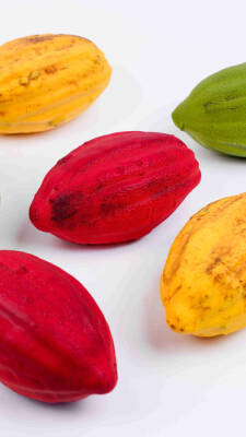 Silikon Pasta ve Kek Kalıbı - 3D Kakao Meyvesi - 4