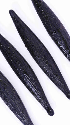 Silikon Pasta ve Kek Kalıbı - 3D Vanilya Çubuğu - 3