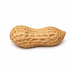 Silikon Pasta ve Kek Kalıbı - 12 Gözlü Yer Fıstığı 3D  - 2