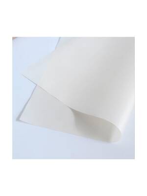 Profesyonel Teflon Pişirme Matı - 1